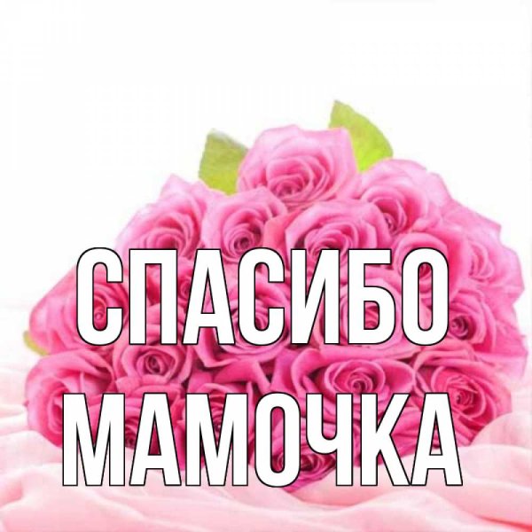 Спасибо мамочка
