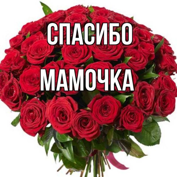 Спасибо Катюша