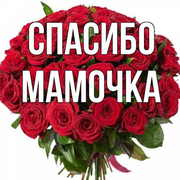 Спасибо мамочка