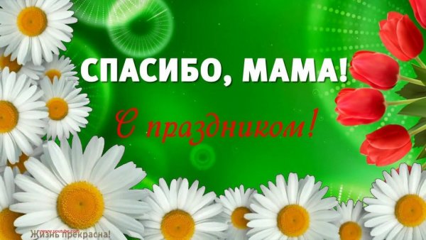 Спасибо мама