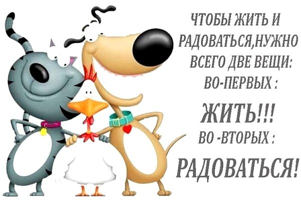 Открытки для поднятия настроения