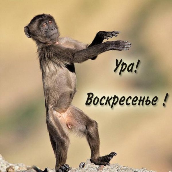 Воскресенье цитаты