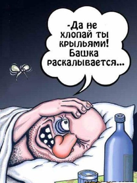 Похмелье карикатура