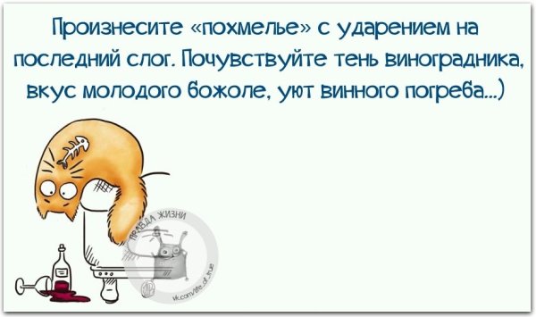 Анекдоты про похмелье