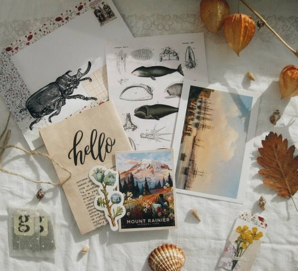 Эстетичные открытки