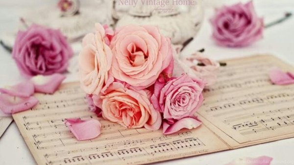 Книга цветы