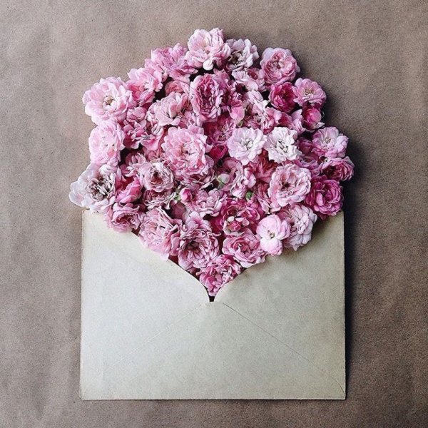 Нежная Эстетика