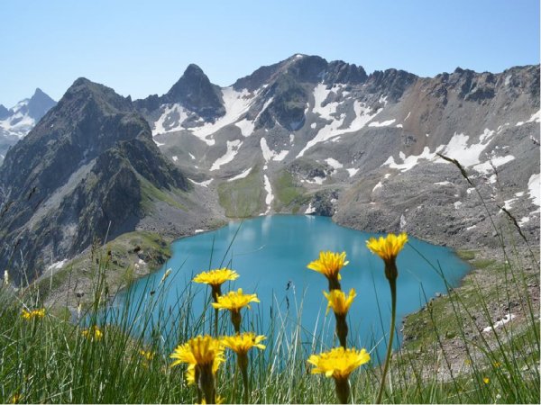 Международный день гор 11 декабря