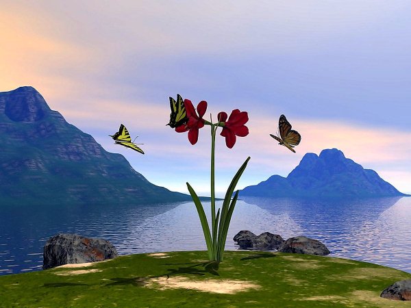 Одинокий цветок в горах