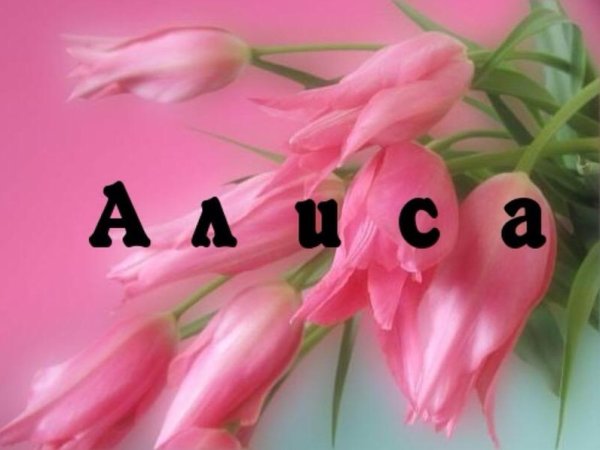 Алиса в стране чудес с днем роджед