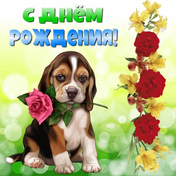 С днём рождения Алиса поздравления