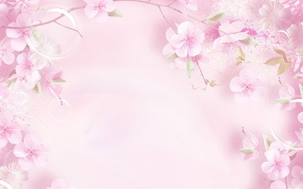 Красивый нежный фон для текста