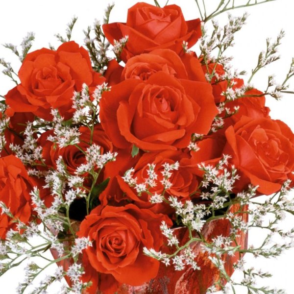 Красивые мерцающие букеты