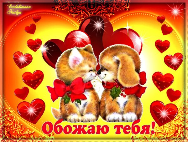 Я тебя люблю и обожаю