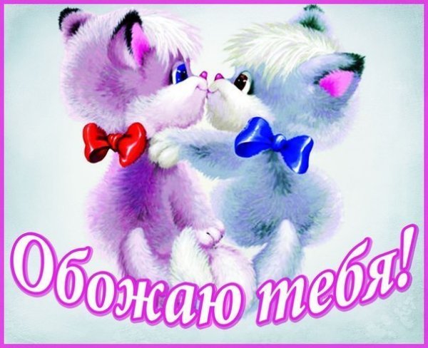 Просто обожаю тебя