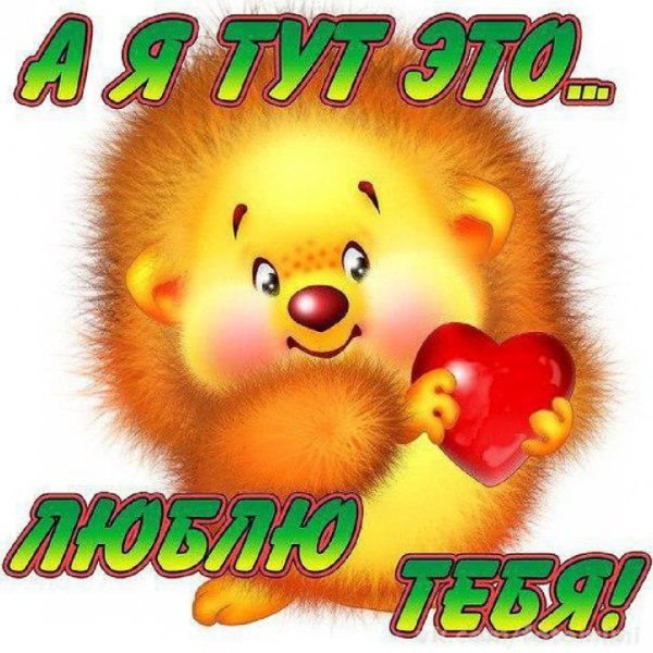 Я тебя люблю прикольные