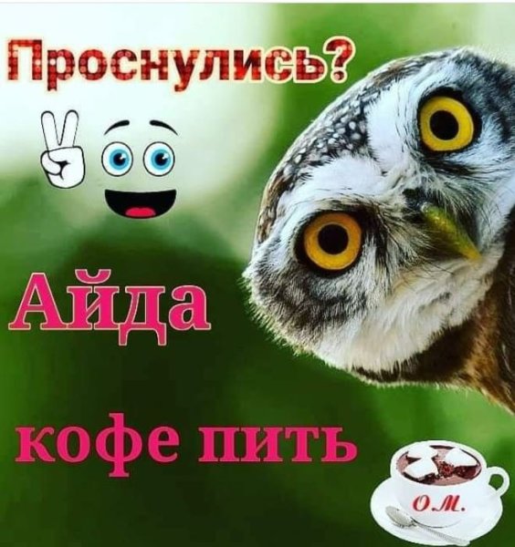 Доброе утро Сова