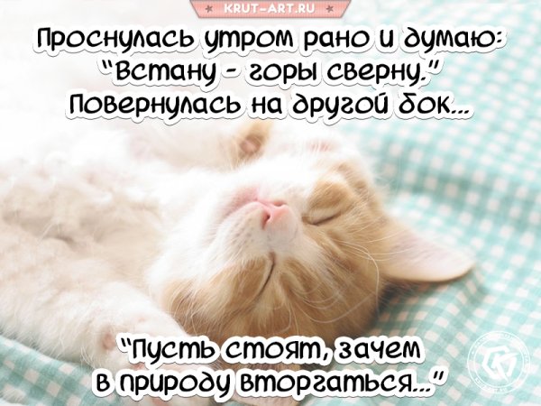Доброе утро просыпайся