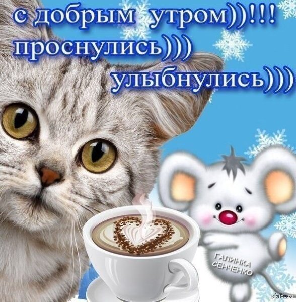 Проснулись УЛЫБНУЛИСЬ доброе утро