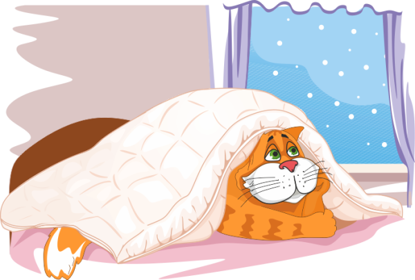 Проснулись с добрым утром