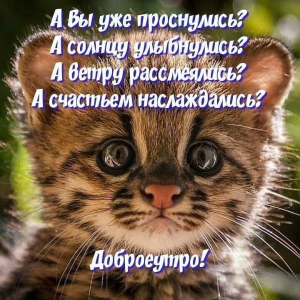 Роснулись...улыбнулпсь с добрым утром