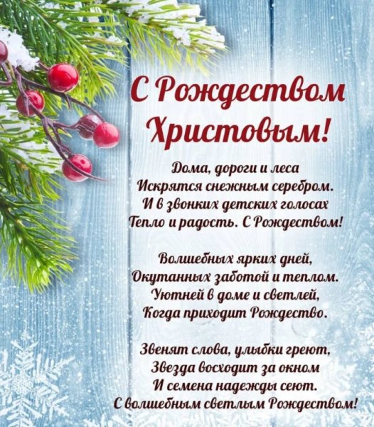 Ветка Еловая