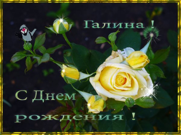 С днём рождения Галина