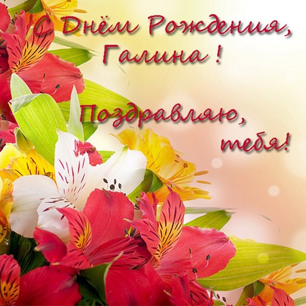 С днём рождения Галина
