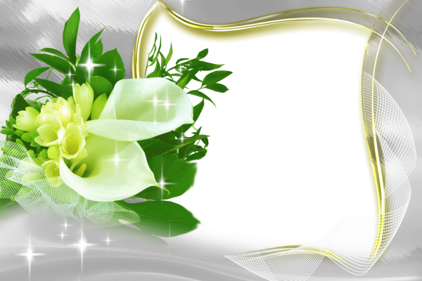 Заготовки для поздравительных открыток