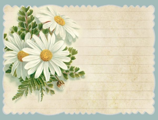 Заготовки для открыток