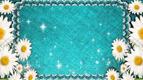 Фон ромашки