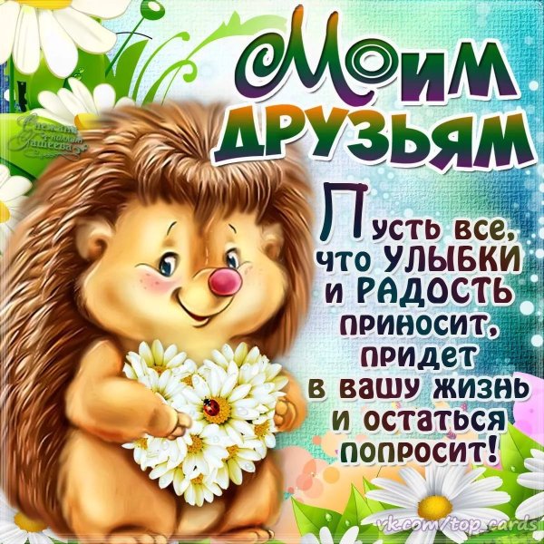 Открытки с юмором прикольные