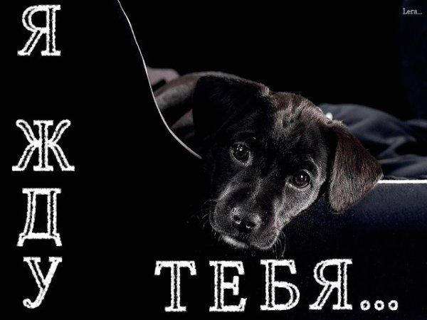 Открытка ждем в гости