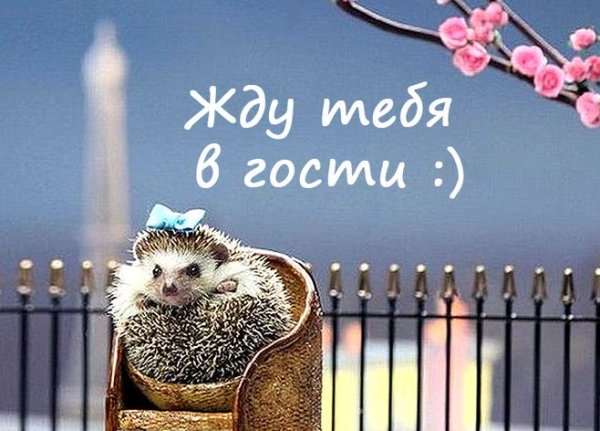 Скучаю картинки прикольные