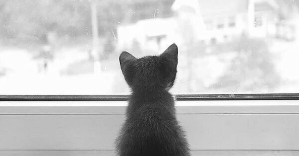 Открытка позвони мне