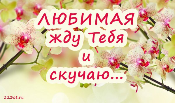 Прикольные открытки любимому