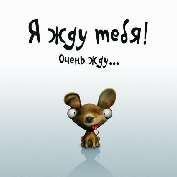 Очень жду нашей встречи