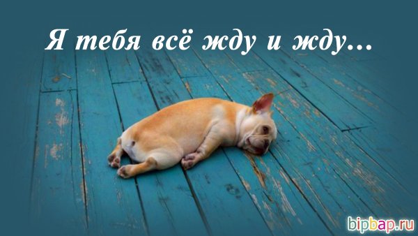 Любимому скучаю