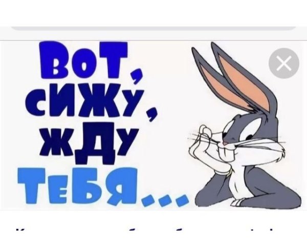 Жду встречи с тобой любимый