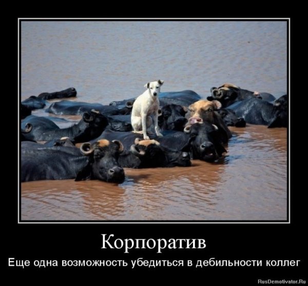 Корпоратив карикатура