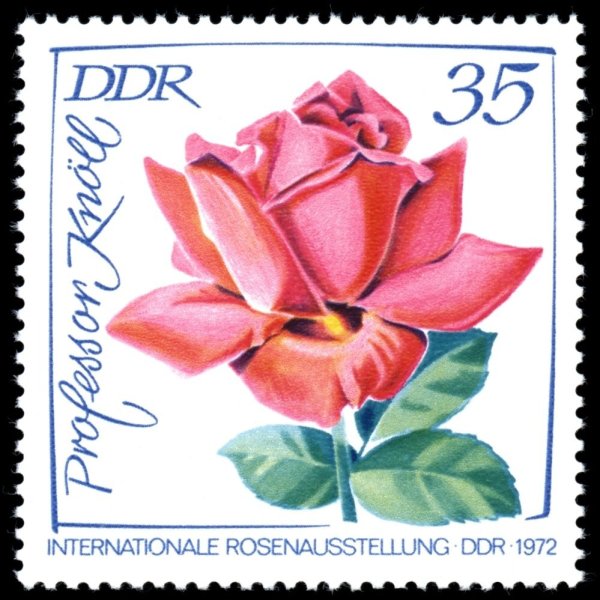 Почтовые марки розы