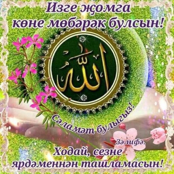 Красивые Жомга