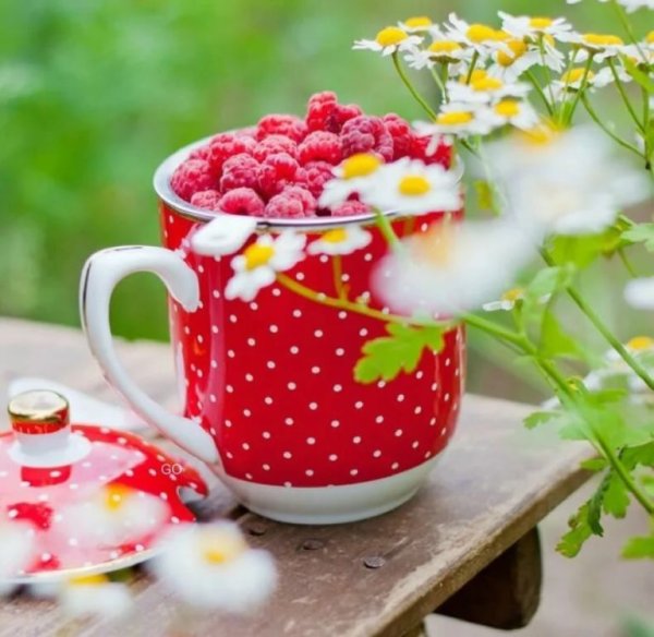 Доброе утро подруга