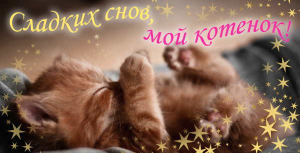 Сладких снов любимый