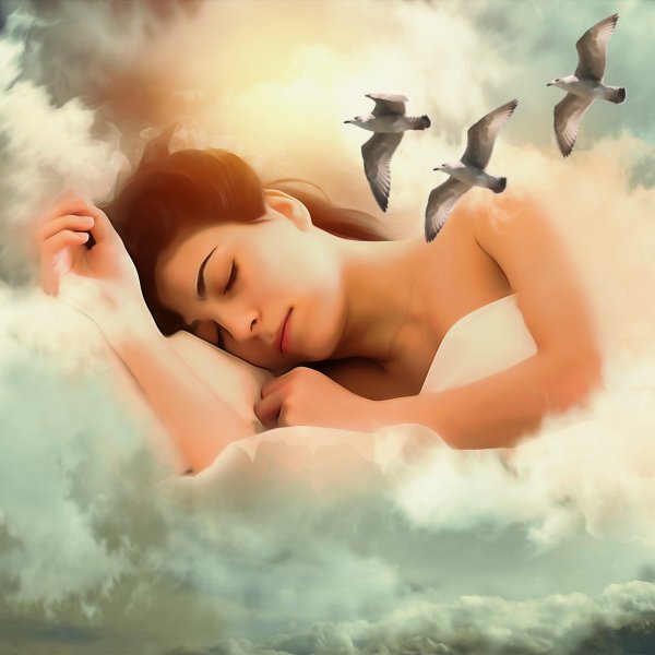 Спокойной ночи сладких снов