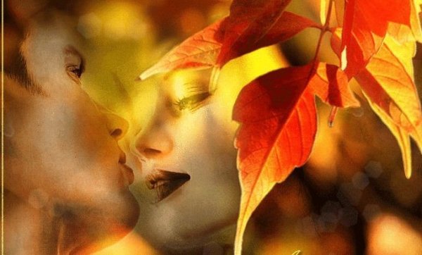 Осенний поцелуй гиф