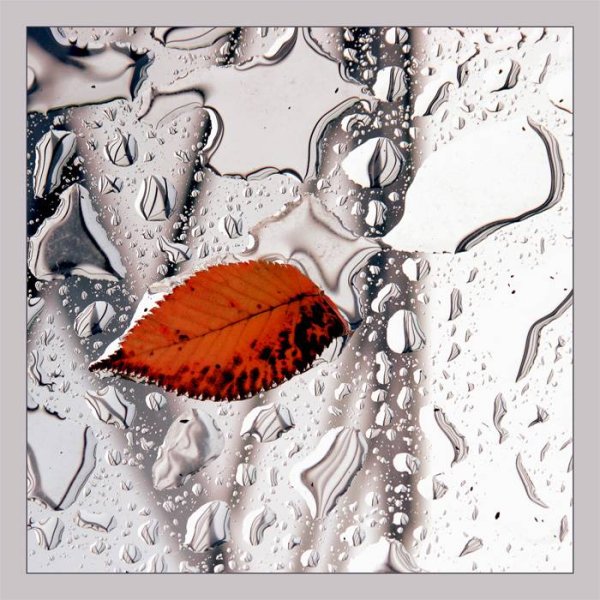 Осенний воздушный поцелуй