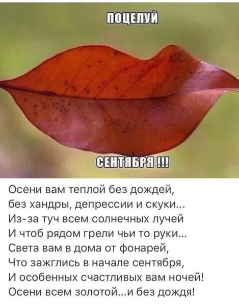 Осени вам теплой без дождей без хандры