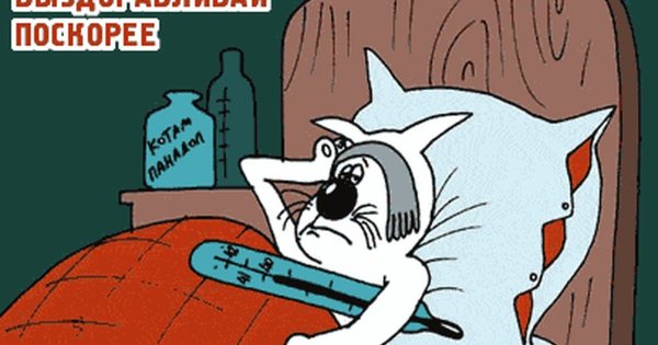 Выздоравливай картинки