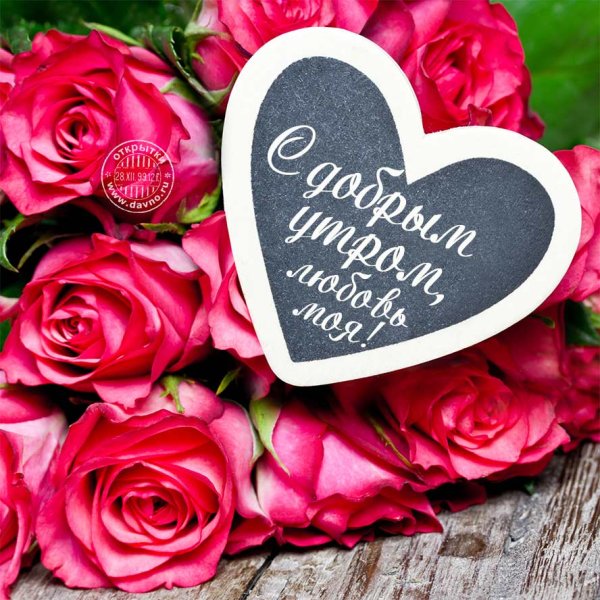 Доброе утро любимка моя